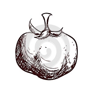 Vegetable icon image