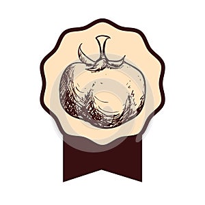 Vegetable icon image