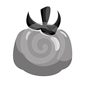 Vegetable icon image