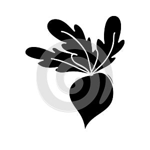 Vegetable icon image