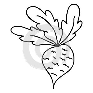 Vegetable icon image