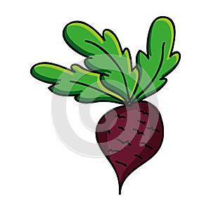 Vegetable icon image