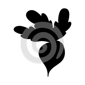 Vegetable icon image