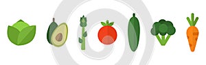 Vegetable icon isolated on white background. Cabbage asparagus, carrot, cucumber tomato, broccoli avocado. Healthy food