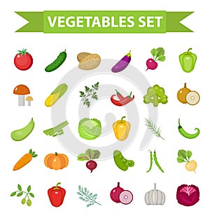 Vegetable icon set, flat, cartoon style. Fresh vegetables and herbs isolated on white background. Farm products