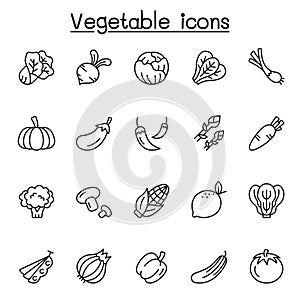 Vegetable icons set in thin line stlye photo