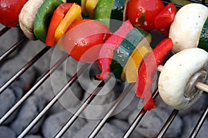 Vegetable Kabobs
