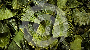 vegetable kale chips. Homemade Green Kale Chips with Vegan Cheese. AI Generative