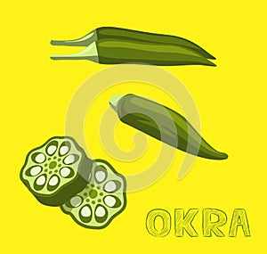 Vegetable Kind Okra Vector Illustration