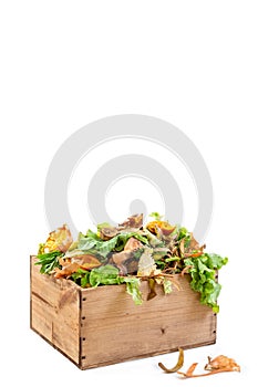 Vegetable kitchen food waste in a re used wooden container for home composting white bacground