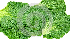 vegetable leaves are green on a white background. Generative Ai