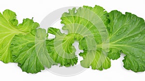 vegetable leaves are green on a white background. Generative Ai