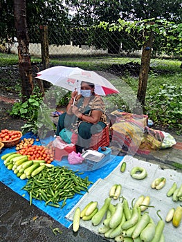 Vegetable lndian famil umbrella selling on road