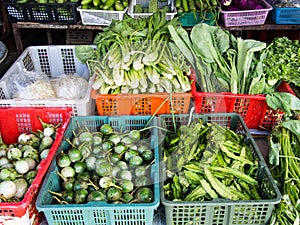 Vegetable at market photo