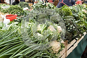 Vegetable market in Zagreb