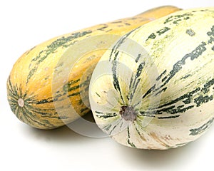 Vegetable marrow