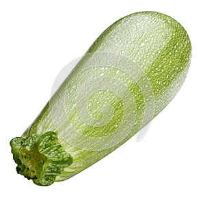 Vegetable marrow isolated on white background