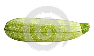 Vegetable marrow isolated on white background