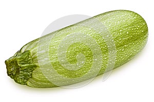 Vegetable marrow isolated on white background