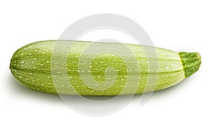Vegetable marrow on white background