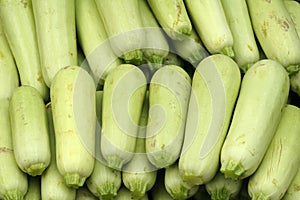 Vegetable marrows
