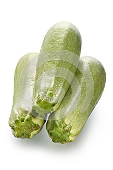 Vegetable marrows