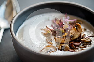 Vegetable and mushroom soup with fresh onions