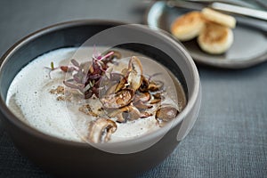 Vegetable and mushroom soup with fresh onions