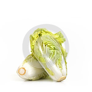 Vegetable Nappa cabbage isolate on white