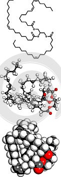 Vegetable oil unsaturated triglyceride molecule