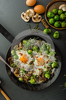 Vegetable omelet with bulls eye egg and sprouts