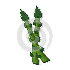 Vegetable organic asparagus cartoon illustration