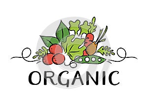 Vegetable and organic Logo