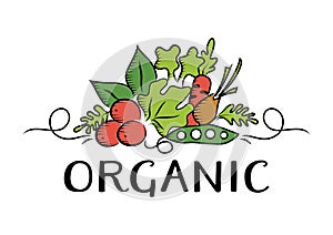 Vegetable and organic Logo photo