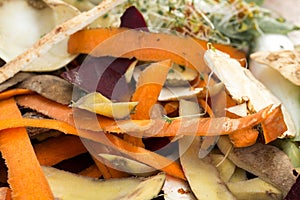 Vegetable peelings in composting pile