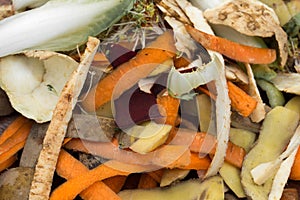 Vegetable peelings in composting pile photo