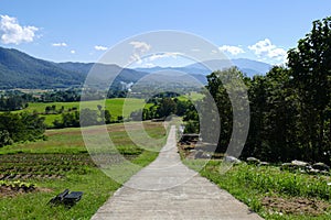 Vegetable plot with mountain and paddy view