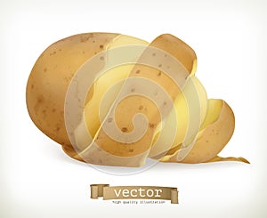 Vegetable potato peel spiral. Vector