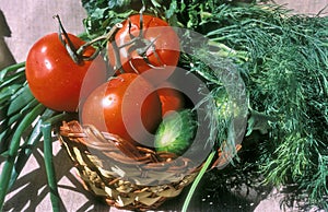 Vegetable and potherbs