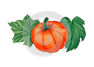 Vegetable pumpkin with green leaves from multicolored paints. Splash of watercolor, colorful drawing, realistic