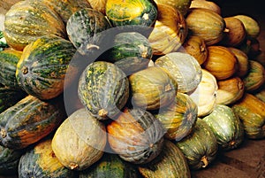 Vegetable, pumpkins, India