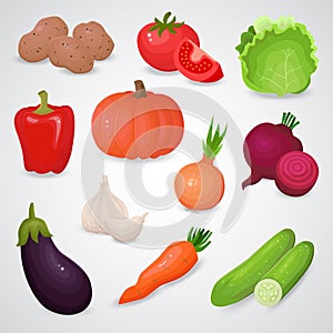 Vegetable realistic vector icon set.