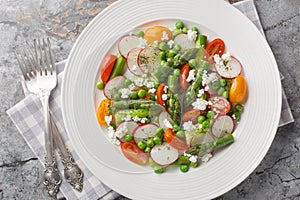 Vegetable salad of asparagus, fresh radishes, cherry tomatoes, green peas and goat cheese close-up in a plate. Horizontal top view