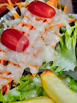 Vegetable salad comes with lots of fresh vegetables. Topped with rich salad dressing