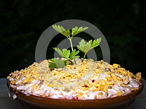 Vegetable salad is decorated with green parsley and dill