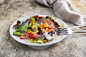 Vegetable salad with edible flowers