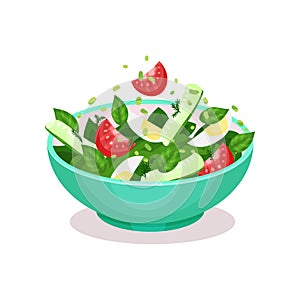 Vegetable salad with egg, tomato, cucmber and spinach healthy eating concept vector Illustration