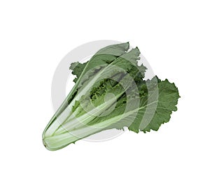 Vegetable for salad isolated on white background with clipping path