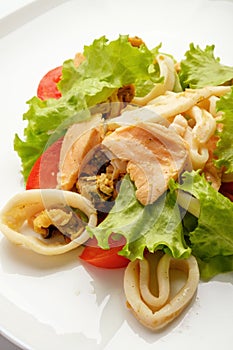 Vegetable salad with meat and seafood