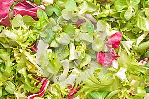 Vegetable salad mix